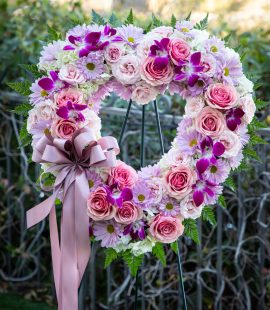 Vivid Grace
