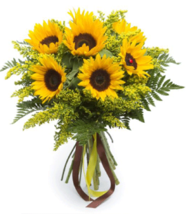 Sunny Bunch