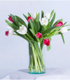 Treasured Tulips