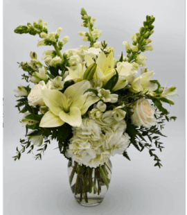 Wild Ivory