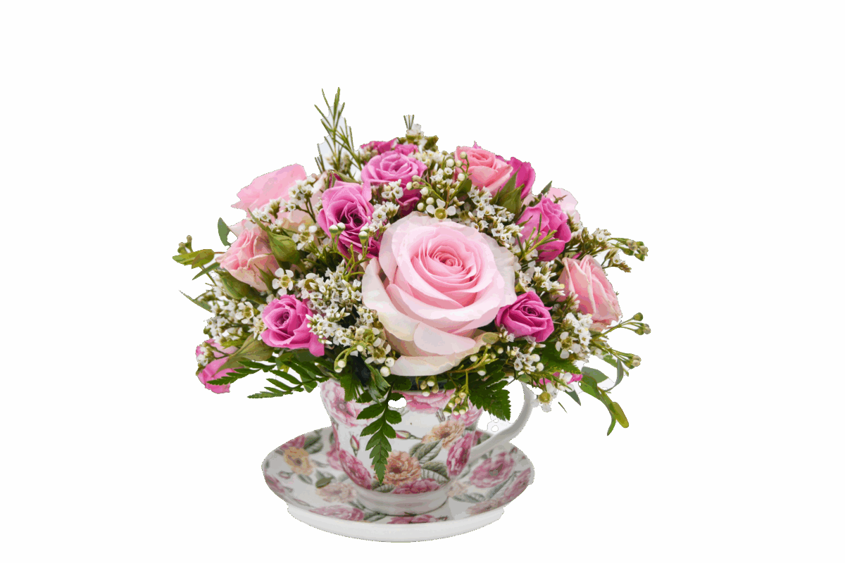 Teacup of Love