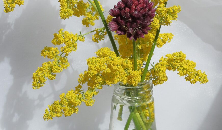 July’s Most Dreamy Arrangements