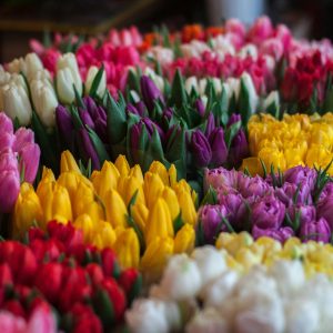 Discover the Best Flower Shop Near Me (And What to Look For) 
