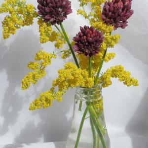 Chasing Summer with Floral Dreams: July’s Most Dreamy Arrangements