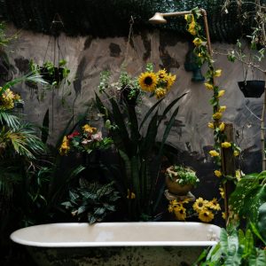 How Different Blooms Can Boost Your Mood and Productivity